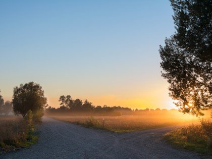 Landweg bij zonsopkomst tussen de bomen
