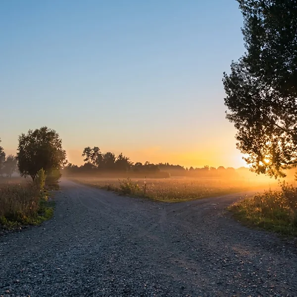 Zandpad dat zich in tweeën splitst bij zonsopkomst, met mist boven het veld